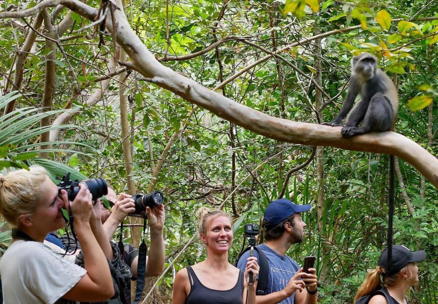 Леса Занзибара